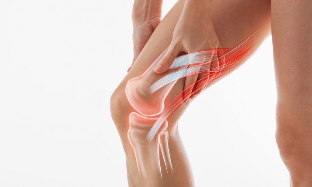 膝の裏側の筋肉